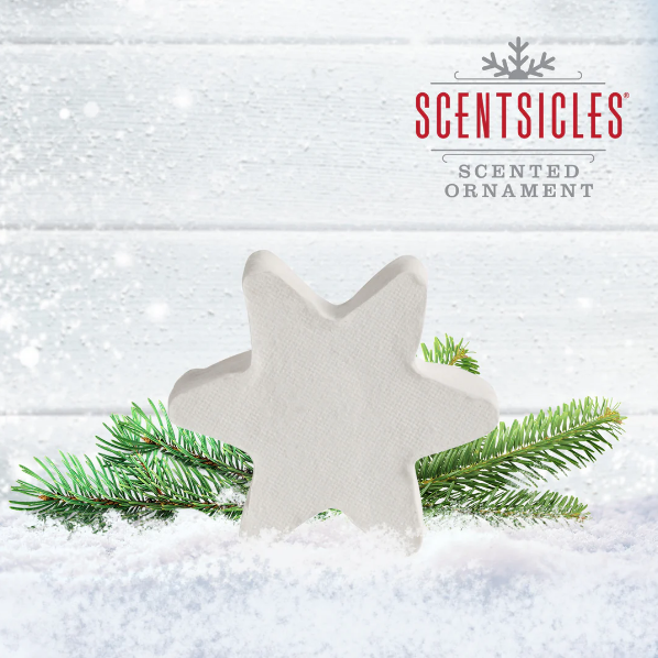 Scentsicles | Star Ornament Refill | White Winter