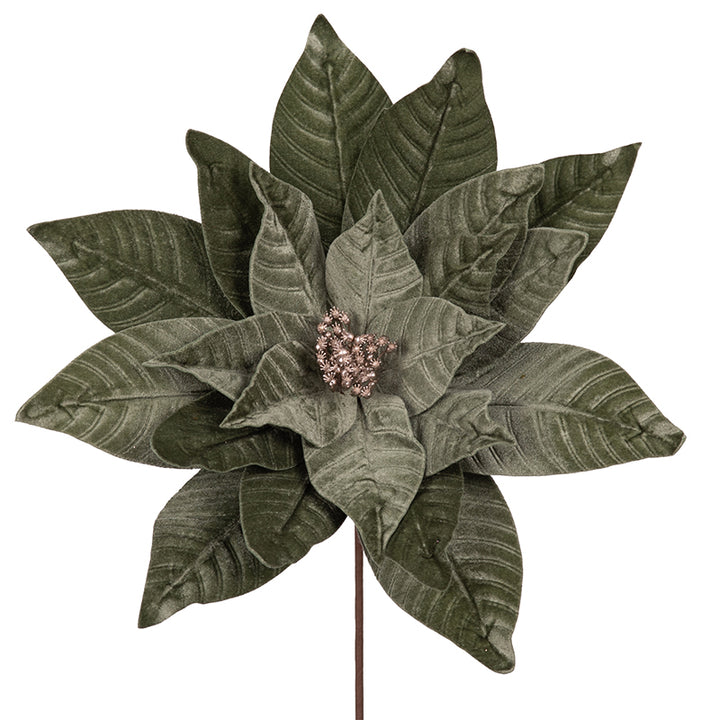 Sage Green Poinsettia Stem