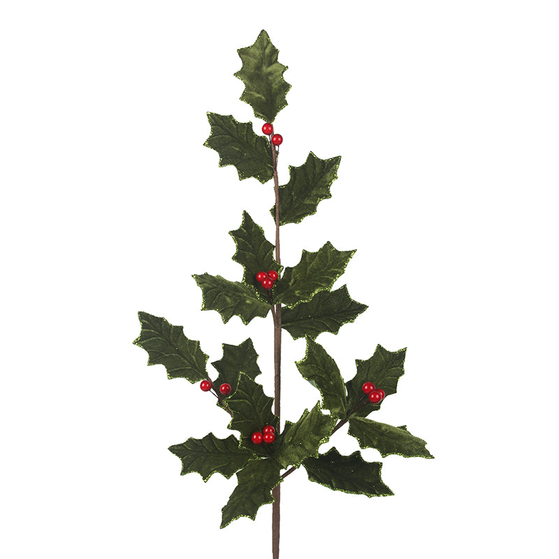 Holly Berry Leaf Stem