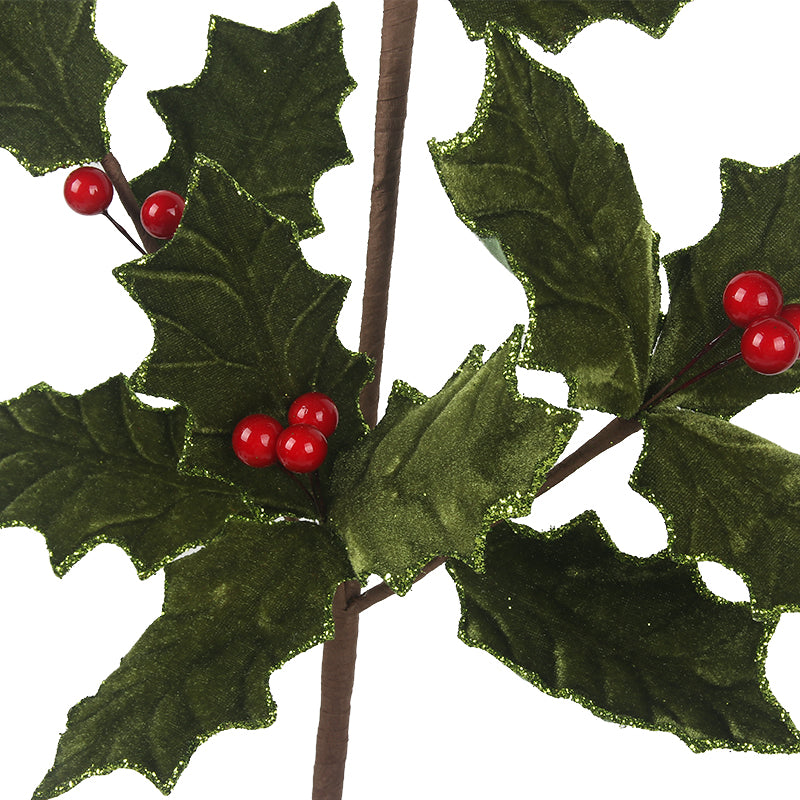 Holly Berry Leaf Stem