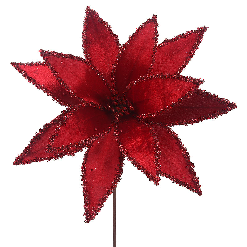 Red Poinsettia