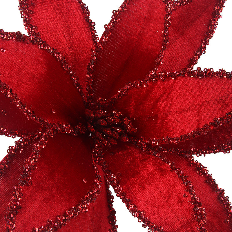 Red Poinsettia