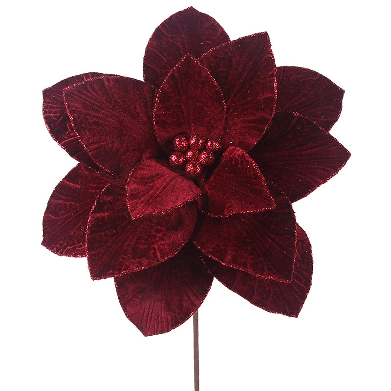 Burgundy Poinsettia