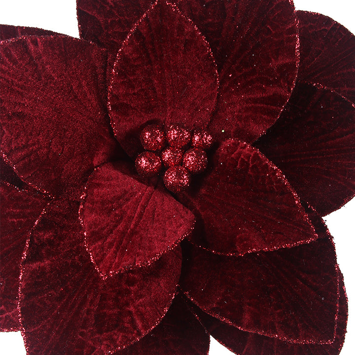 Burgundy Poinsettia