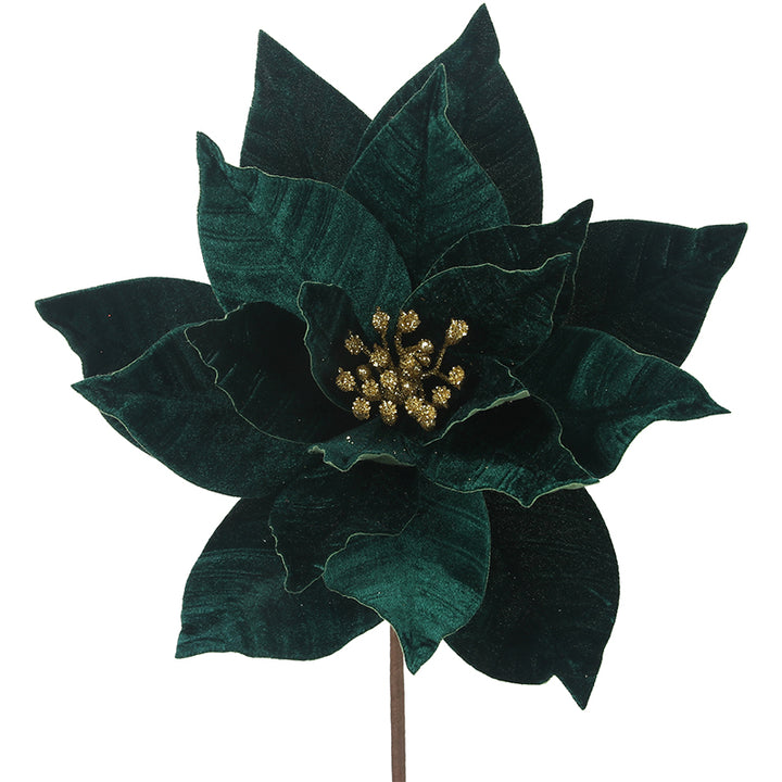 Emerald Green Poinsettia