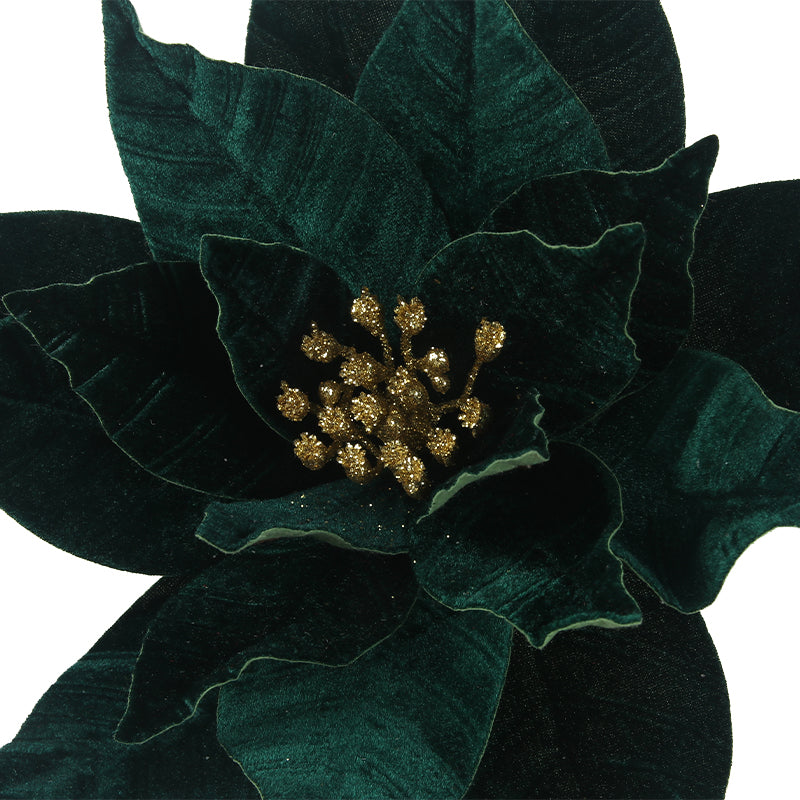 Emerald Green Poinsettia