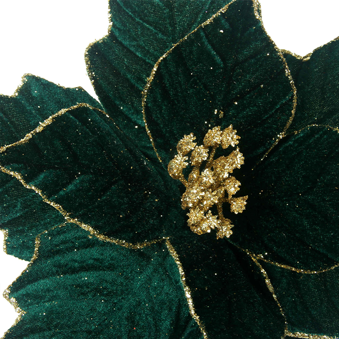 Emerald Poinsettia