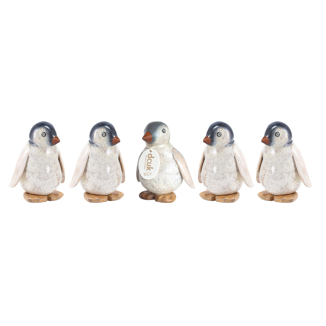DCUK | Emperor Baby Penguins