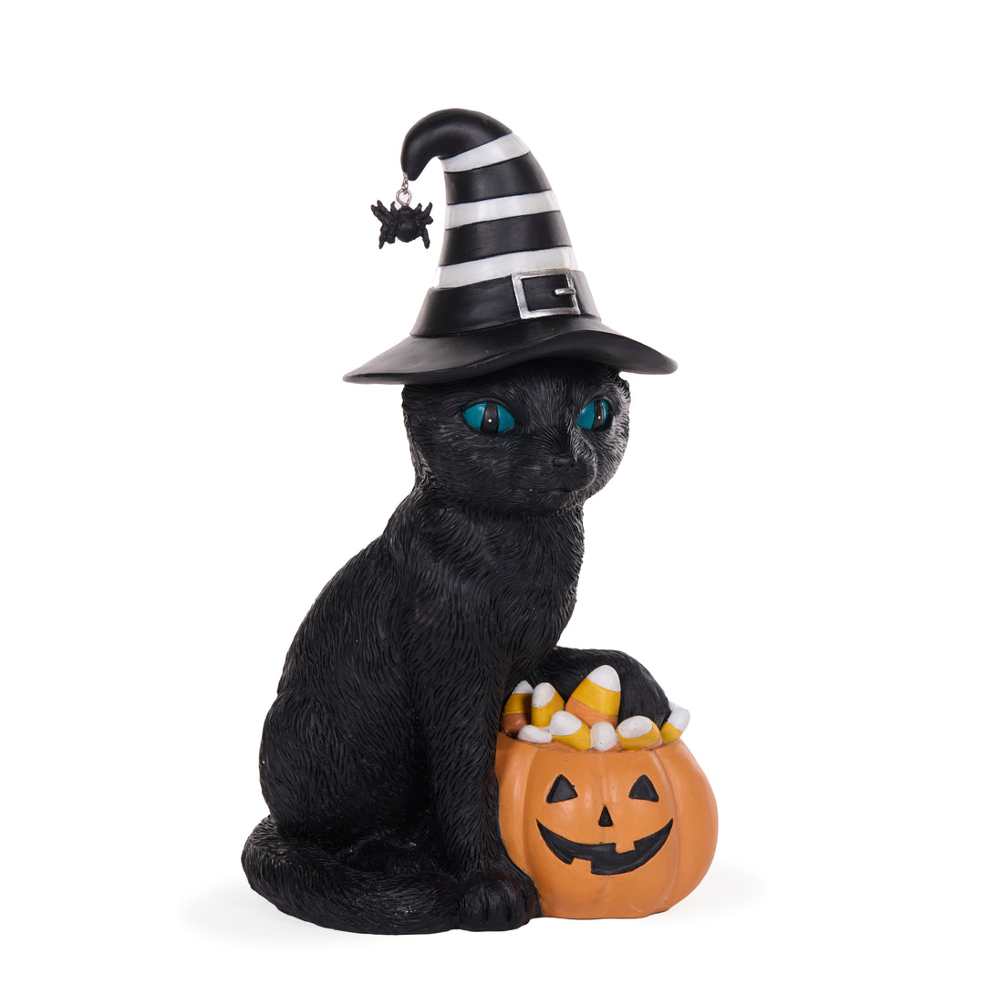 Holly & Ivy | Salem Halloween Cat
