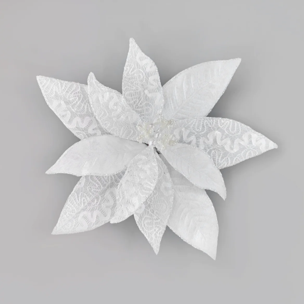 Luxe Pearl White Poinsettia